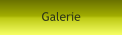 Galerie